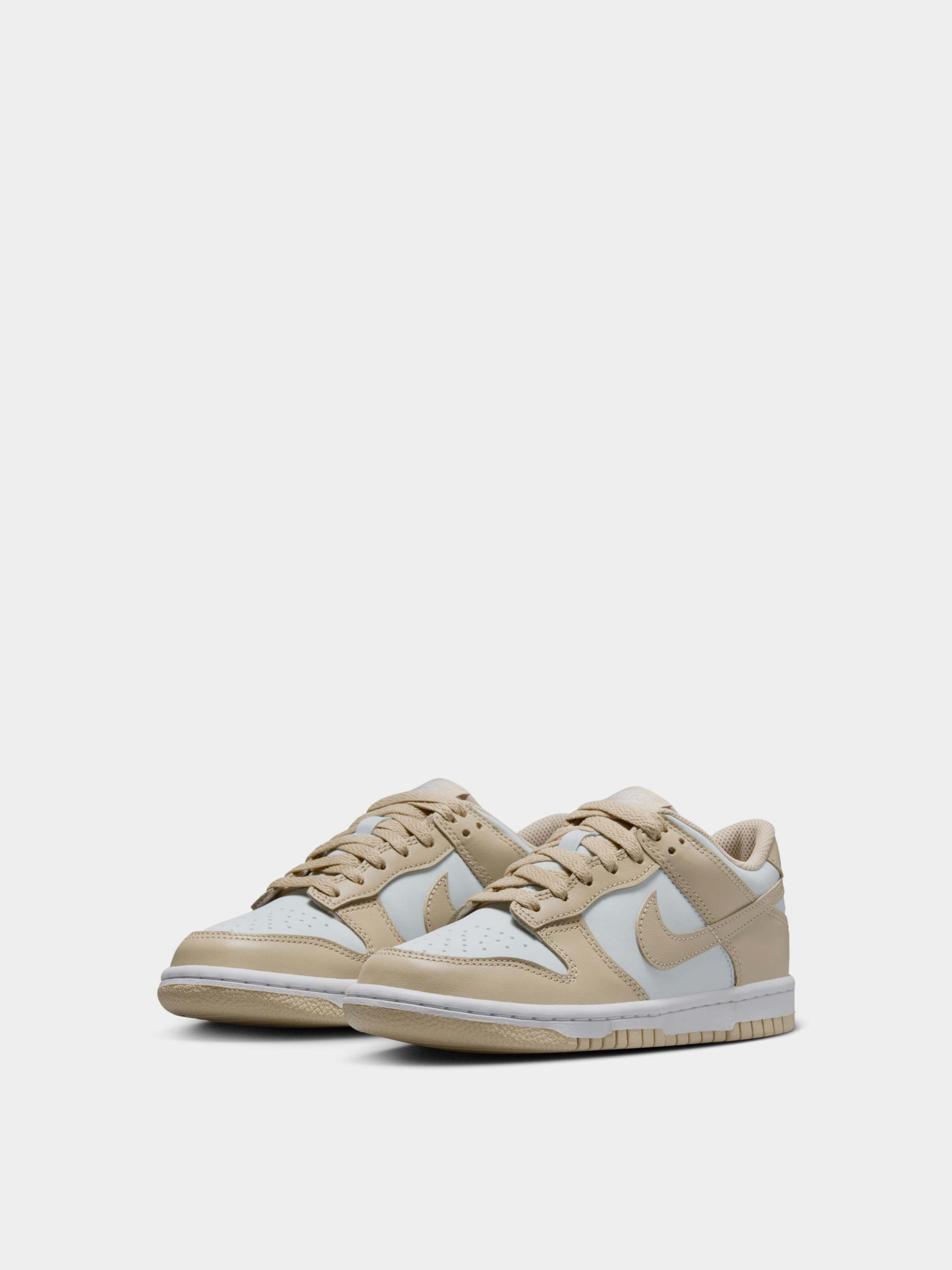Кросівки Nike DUNK LOW (GS) FB9109-200