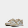 Кросівки Nike DUNK LOW (GS) FB9109-200