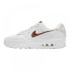 Кросівки Nike Air Max 90 Leopard (W) DH4115-100