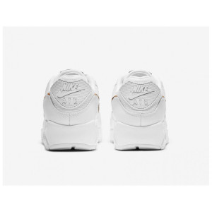 Кросівки Nike Air Max 90 Leopard (W) DH4115-100