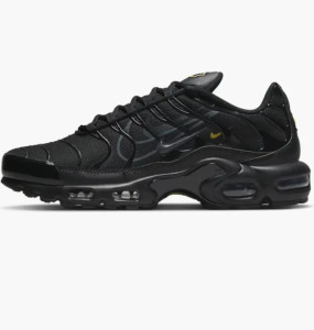 Кросівки Nike Air Max Plus DX2652-001