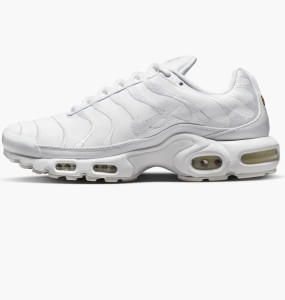 Кросівки Nike AIR MAX PLUS AJ2029-100