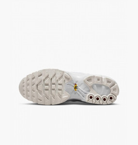 Кросівки Nike AIR MAX PLUS AJ2029-100