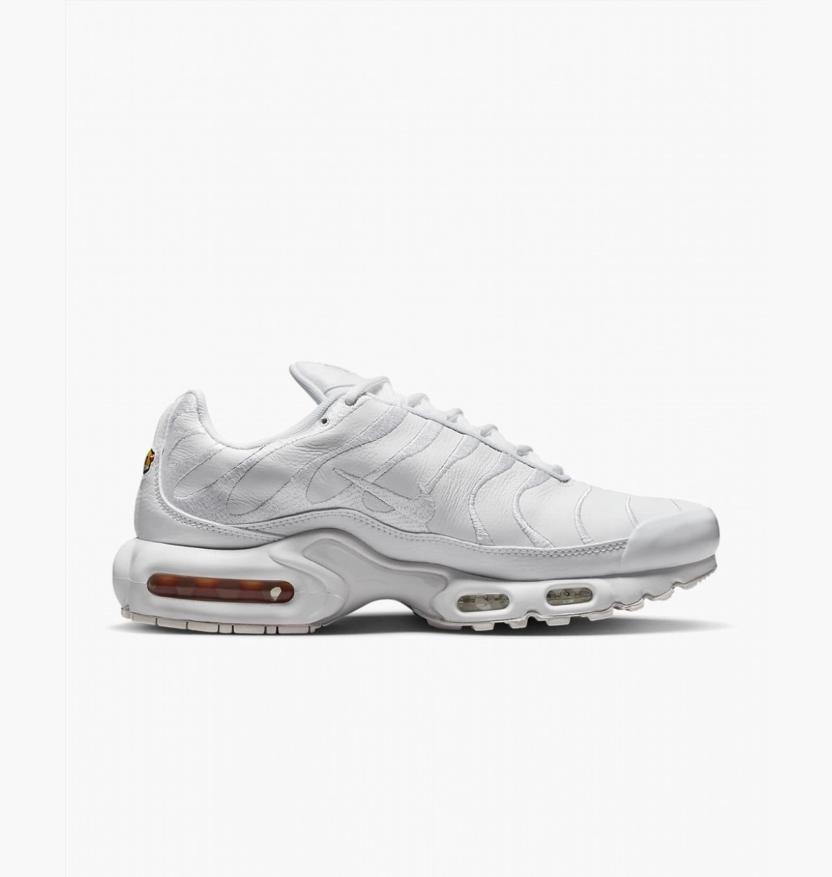 Кросівки Nike AIR MAX PLUS AJ2029-100