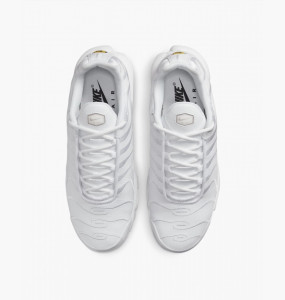 Кросівки Nike AIR MAX PLUS AJ2029-100