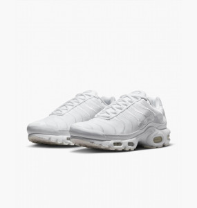 Кросівки Nike AIR MAX PLUS AJ2029-100