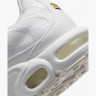 Кросівки Nike AIR MAX PLUS AJ2029-100