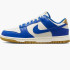 Кросівки Nike W DUNK LOW FB7173-141