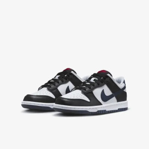 Кросівки NIKE DUNK LOW GS HJ9202-001