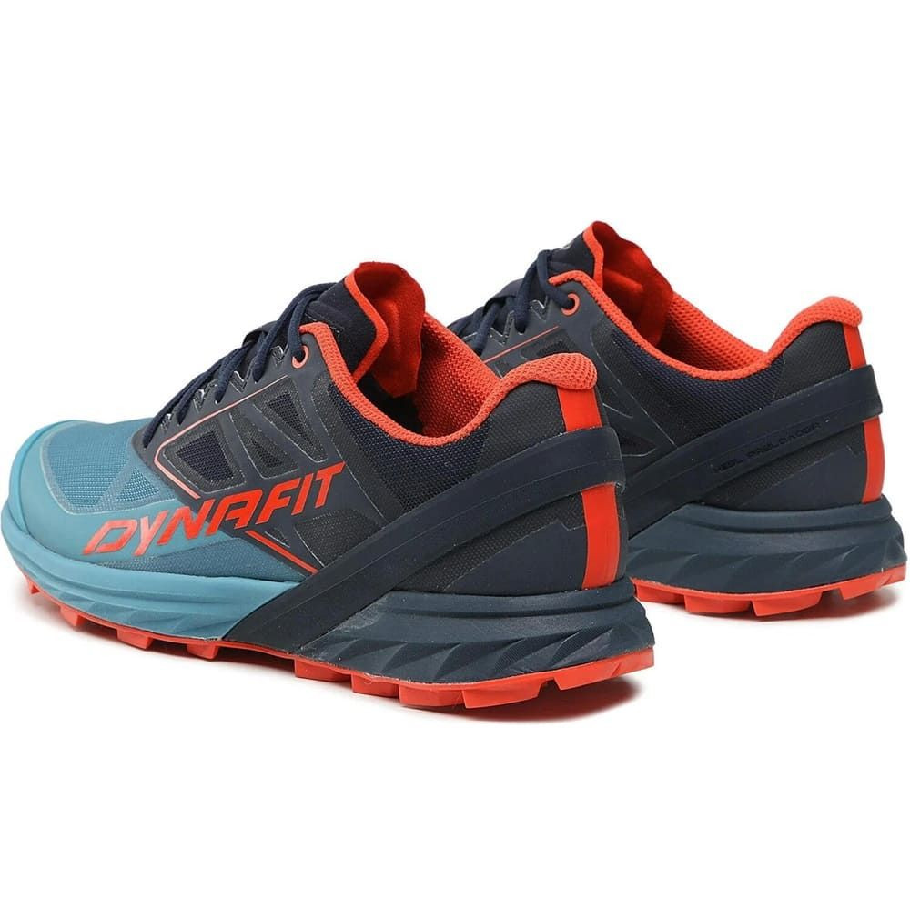Кросівки Dynafit Alpine Mns 016.001.2204