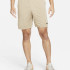Шорти ч Nike Dri-FIT Training (бежеві) DD1887-247
