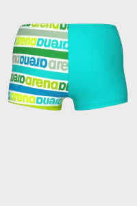 Плавки Arena FRIENDS SWIM SHORT ALLOVER 006303-301