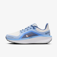 Кросівки Nike W AIR WINFLO 11 GTX FQ1359-002