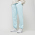 Штани Nike Sportswear Phoenix Fleece FZ5996-474