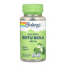 Капсули Solaray Gotu Kola Aerial 450mg - 100 vcaps 2023-10-6721