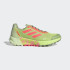 Кросівки Adidas Terrex Agravic Flow 2.0 GORE-TEX H03182