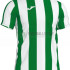 Футболка Joma INTER 101287.452 зелено-біла 101287.452