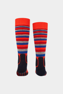 Шкарпетки лижні Falke ESS SK2 STRIPE 11532-8182