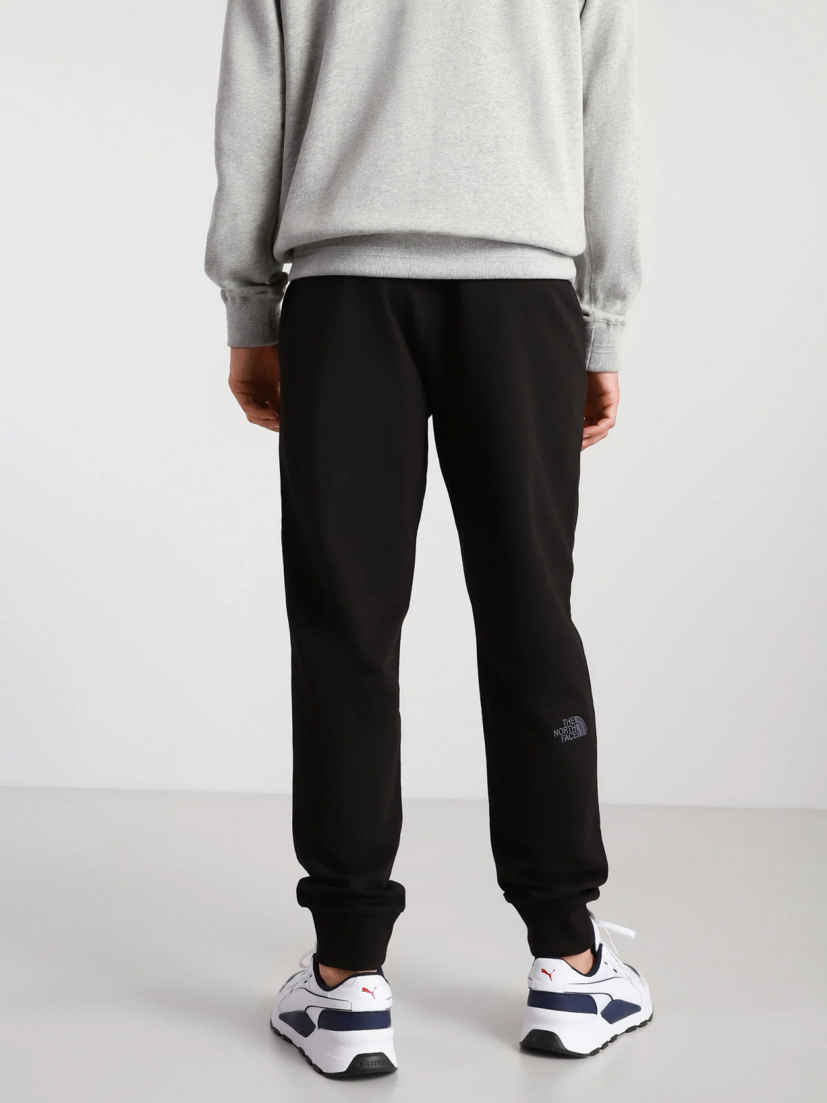 Штани спортивні NSE LIGHT PANT TNF B 0A4T1FJK31 THE NORTH FACE REGL Чорний 0A4T1FJK31