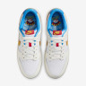 Кросівки чоловічі Nike Dunk Low Retro Se White HQ3613-133