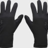 Рукавиці Under Armour M's Storm Fleece Gloves чорний LG (6000391-001) 6000391-001