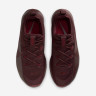 Кросівки Nike LeBron TR 1 FJ6151-601
