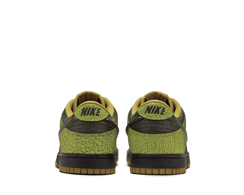 Кросівки Nike Dunk Low Retro QS Halloween Skull HV6103-300