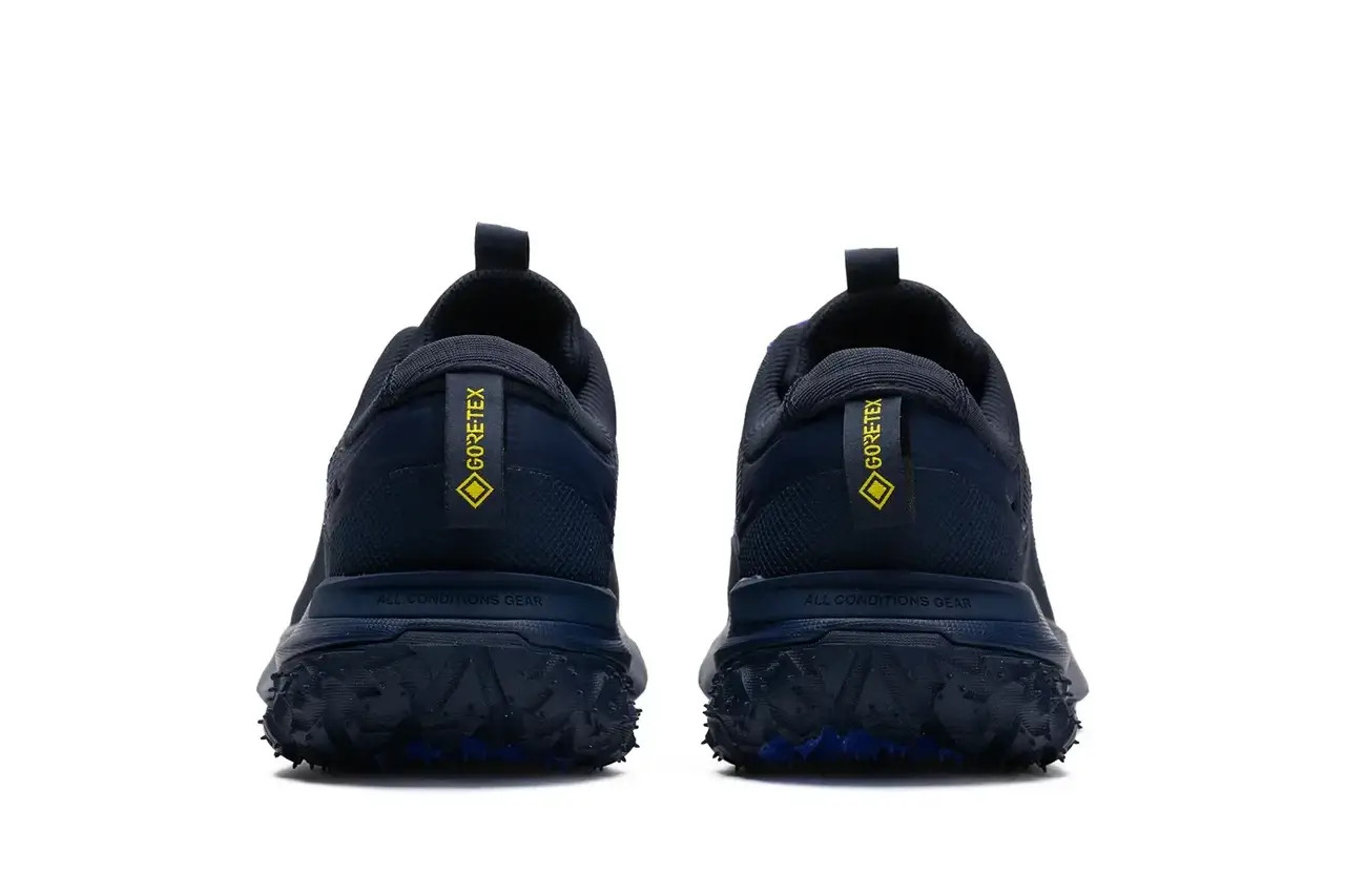 Кросівки ACG MOUNTINE FLY 2 LOW GTX HF6245 400