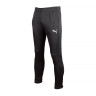 Штани Puma ACTIVE Tricot Pants 58673101