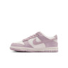 Кросівки Nike DUNK LOW (GS) FB9109-122