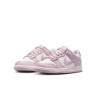 Кросівки Nike DUNK LOW (GS) FB9109-122