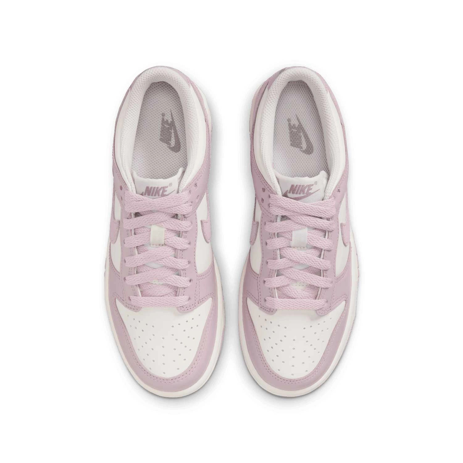 Кросівки Nike DUNK LOW (GS) FB9109-122