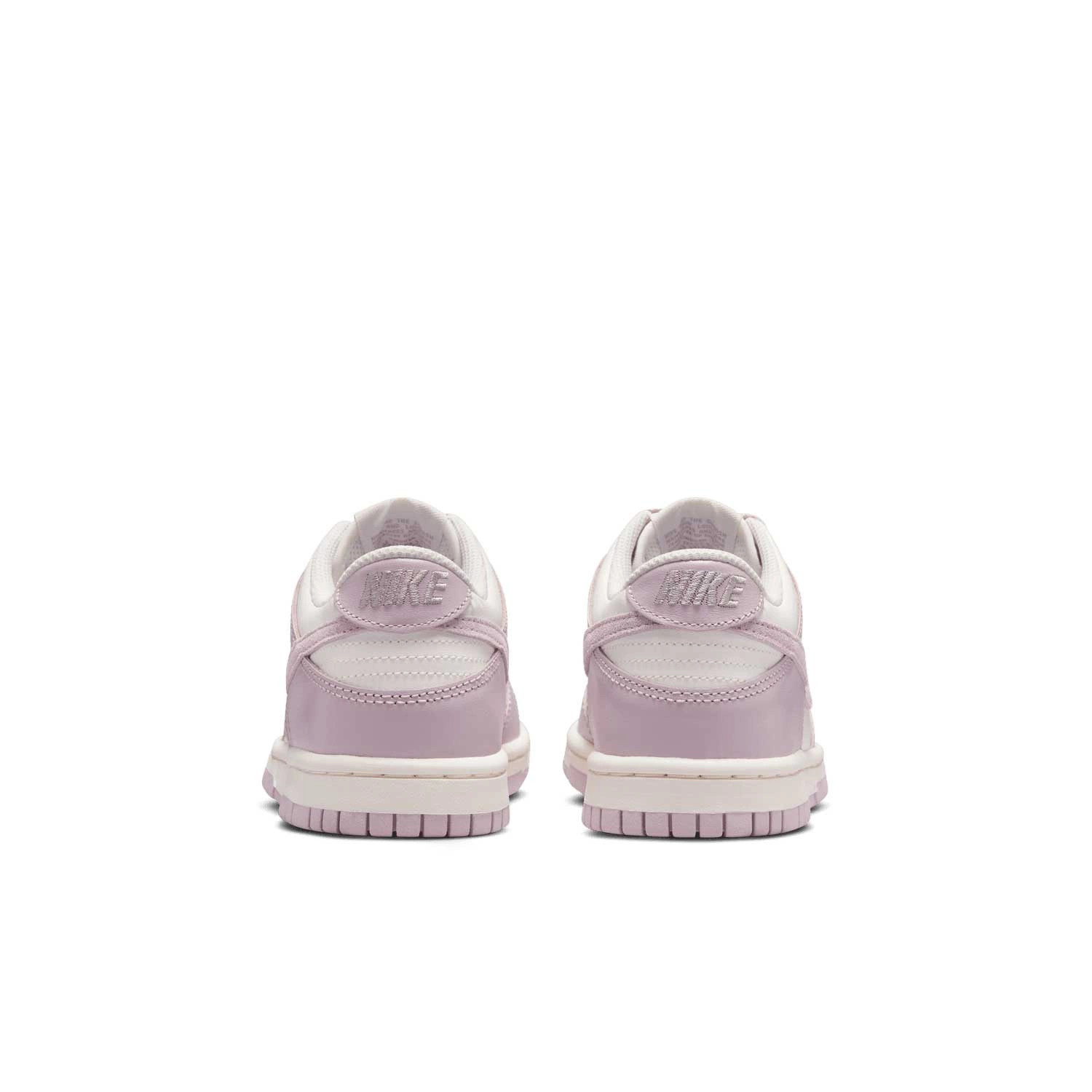 Кросівки Nike DUNK LOW (GS) FB9109-122