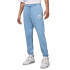 Штани Air Jordan Ess Stmt Wash Flc Pnt FB7298-436