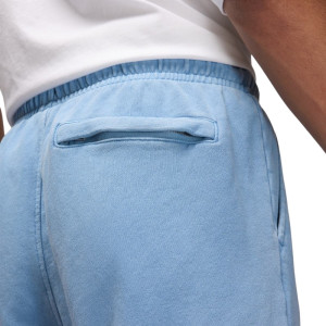 Штани Air Jordan Ess Stmt Wash Flc Pnt FB7298-436