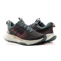 Кросівки Nike JUNIPER TRAIL 2 NN DM0821-003