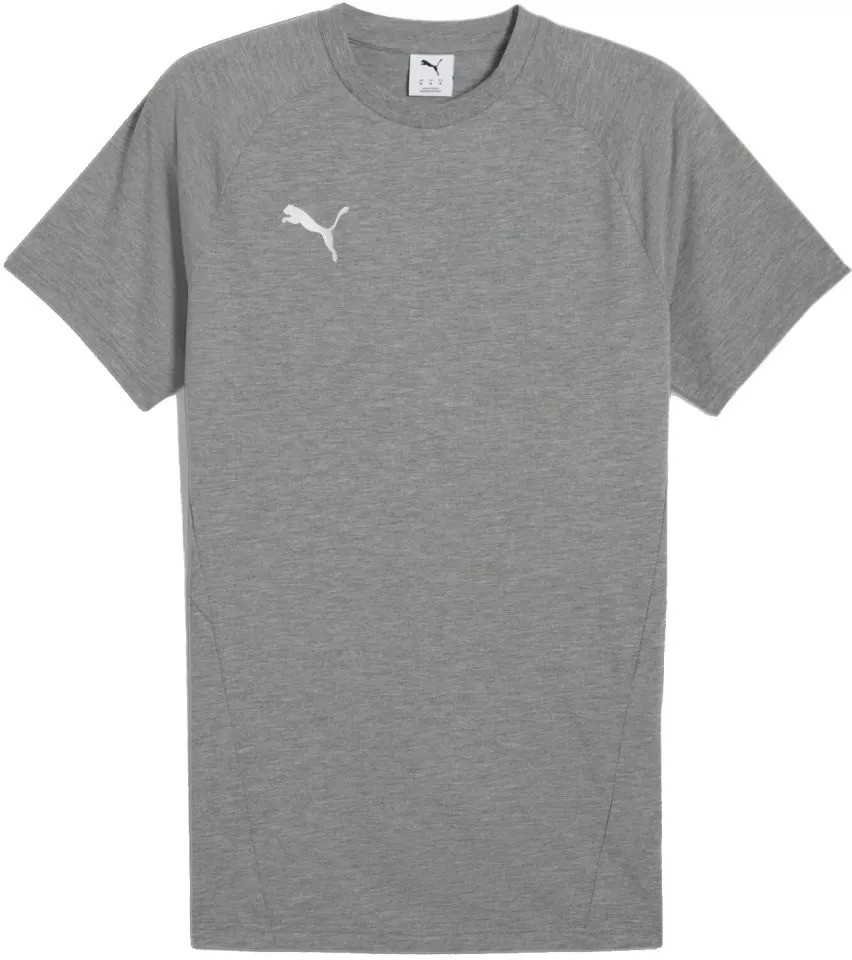 Футболка Puma teamEVOSTRIPE Tee 659953-33