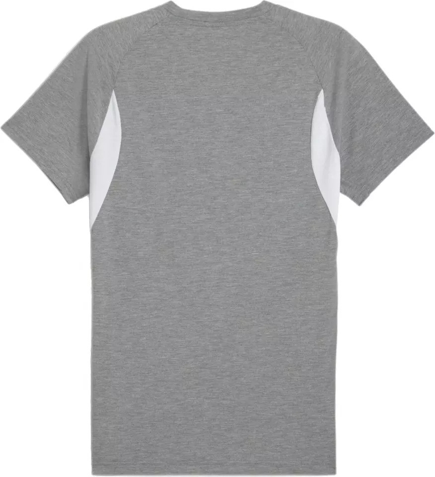 Футболка Puma teamEVOSTRIPE Tee 659953-33