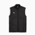 Жилетка Puma FC Shakhtar Donetsk Gilet Men 777860-06
