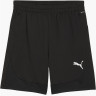 Шорти Puma teamFINAL Training Shorts 658566-03