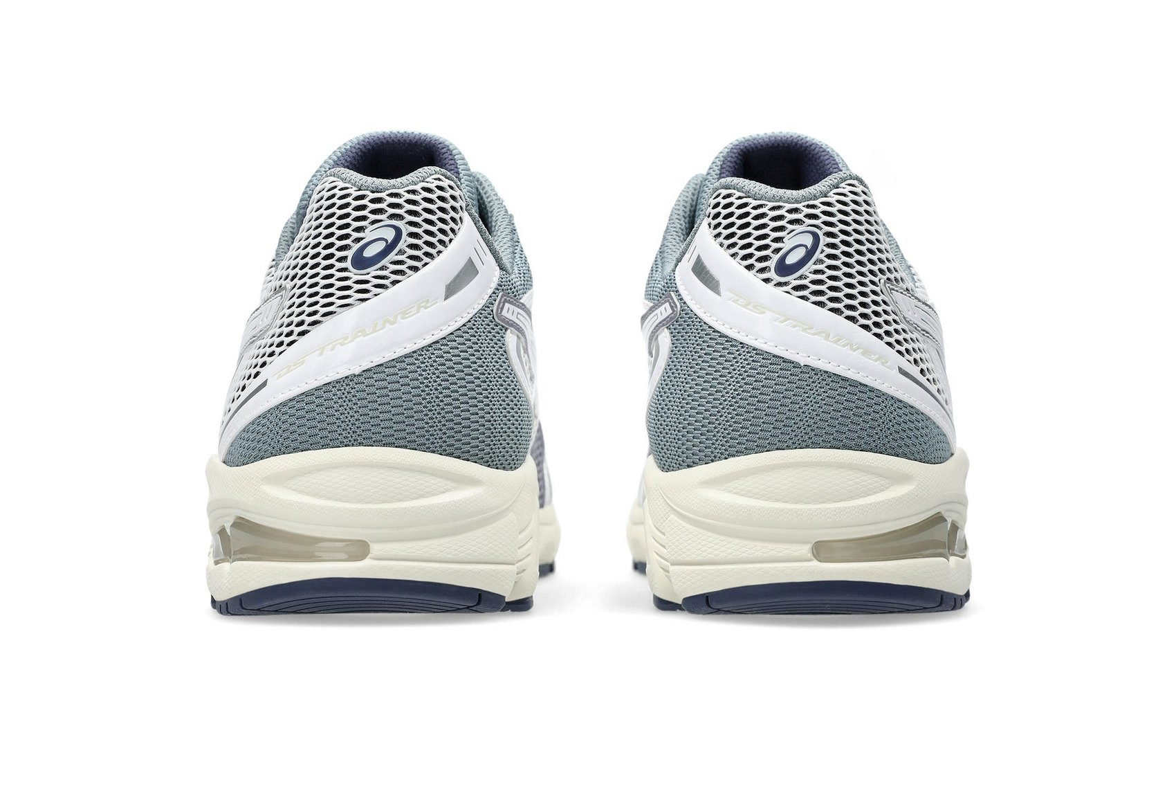 Кросівки Asics GEL-DS Trainer 14 1203A607-100