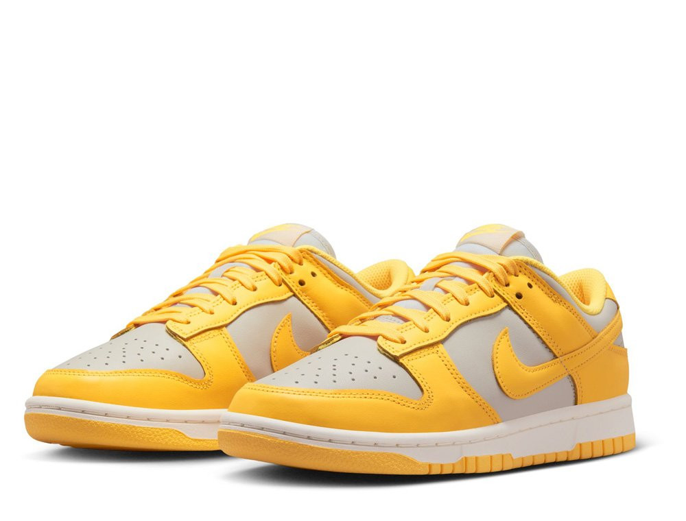Кросівки Nike Dunk Low DD1503-002