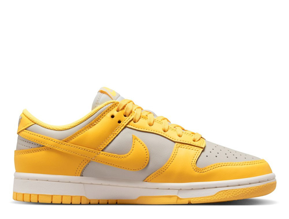 Кросівки Nike Dunk Low DD1503-002