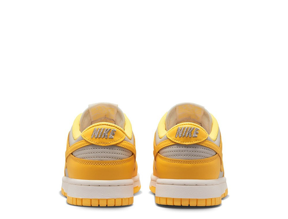 Кросівки Nike Dunk Low DD1503-002