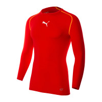 Термобілизна Puma TB Trainingsshirt Herren 65461201