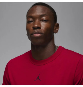 Футболка Nike Jordan DF SPRT SS TOP FN5829-687