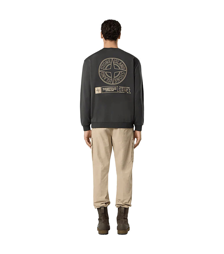Світшот Stone Island K2S156100018 S0195 V0062