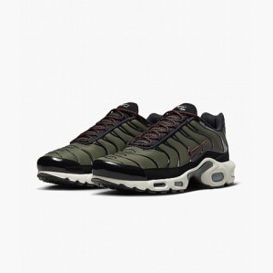 Кросівки Nike AIR MAX PLUS FB9722-300