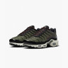 Кросівки Nike AIR MAX PLUS FB9722-300