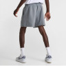 Шорти чоловічі Nike Primary Dri-Fit Uv Unlined 7 Versatile Shorts Grey FZ0961-065
